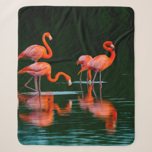 American flamingos with Reflections Resting and Fo Sherpa Blanket