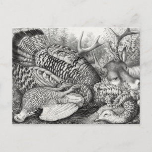 "American Forest Game" postcard