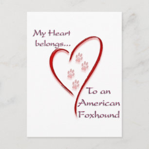 American Foxhound Heart Belongs Postcard
