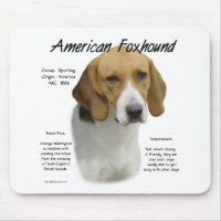 American Foxhound History, All About Foxhounds
