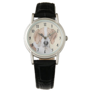 American Foxhound Painting - Cute Original Dog Art Watch