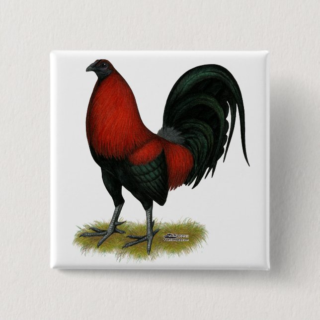 American Game BB Black Red Rooster 15 Cm Square Badge (Front)