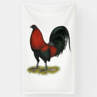 American Game BB Black Red Rooster