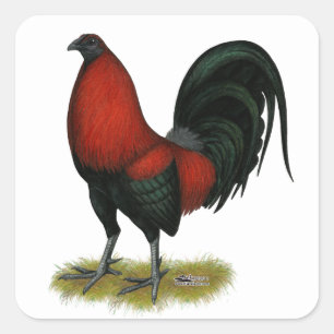 American Game BB Black Red Rooster Square Sticker