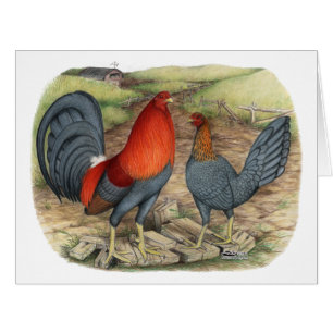 American Game Blue Reds