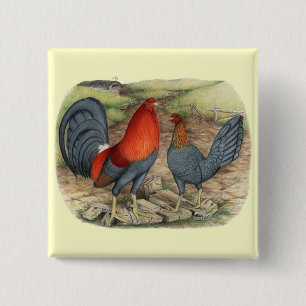 American Game Blue Reds 15 Cm Square Badge