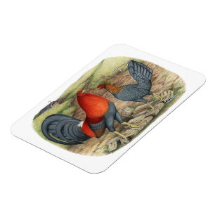 American Game Blue Reds Magnet