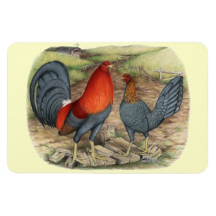 American Game Blue Reds Magnet