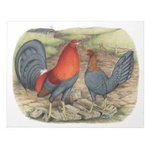 American Game Blue Reds Notepad