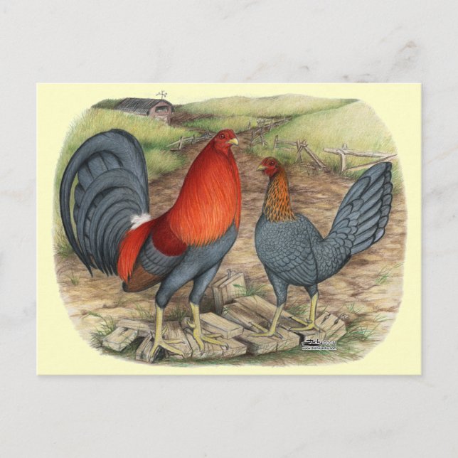 American Game Blue Reds Postcard (Front)