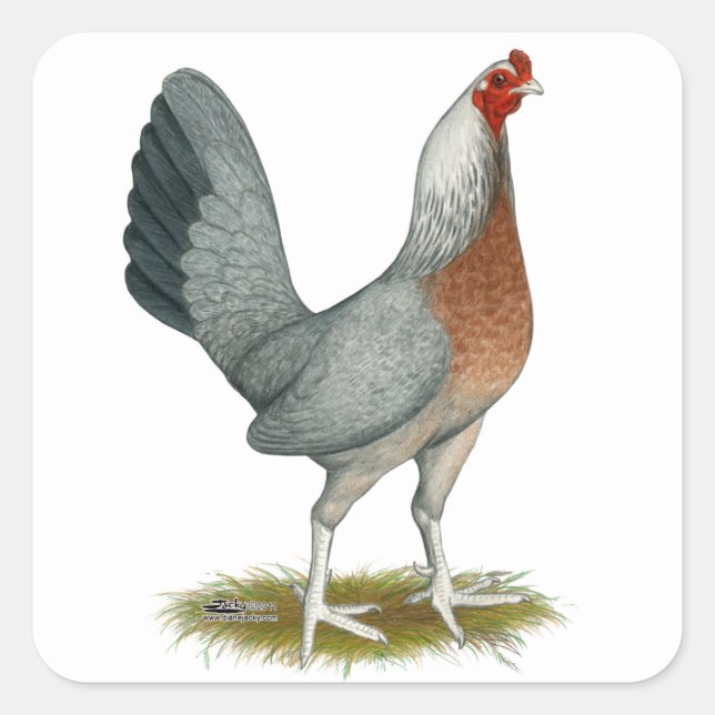 American Game Hen Silver Blue Square Sticker (Front)