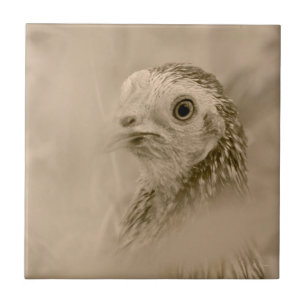 American Game Hen Tile