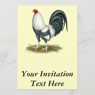 American Game Silver Blue Gamecock Invitation