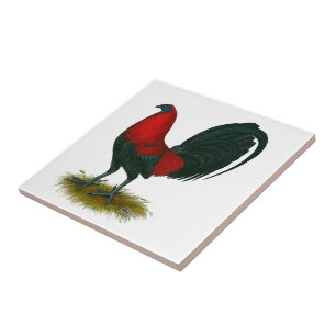 American Gamecock:  Brown Red Ceramic Tile