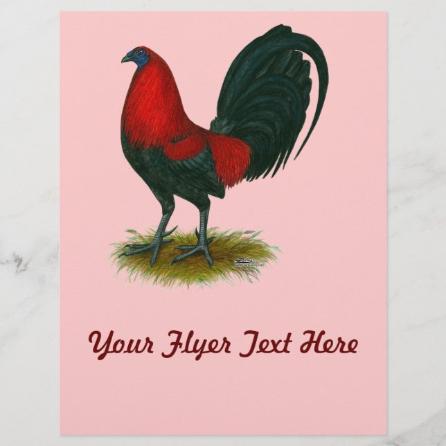 American Gamecock:  Brown Red Flyer (Front)