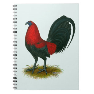 American Gamecock:  Brown Red Notebook