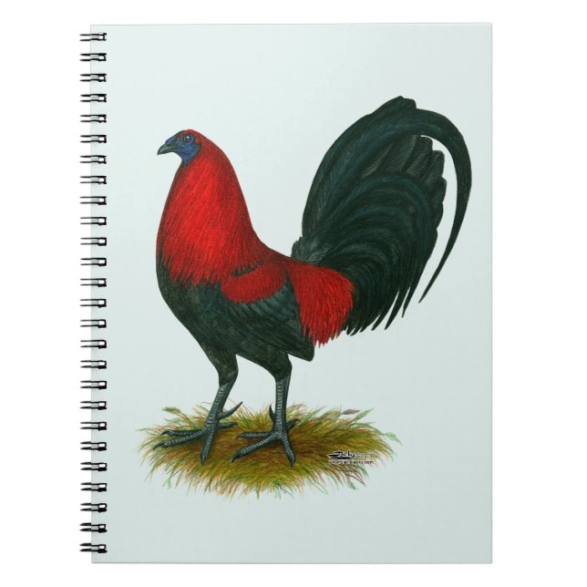 American Gamecock:  Brown Red Notebook (Front)