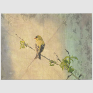 American Gold Finch Bird on Branch Tissue Paper
