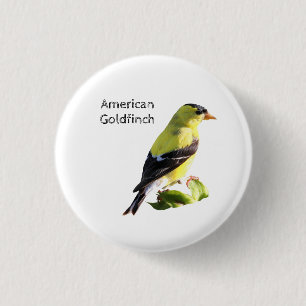 American Goldfinch 3 Cm Round Badge