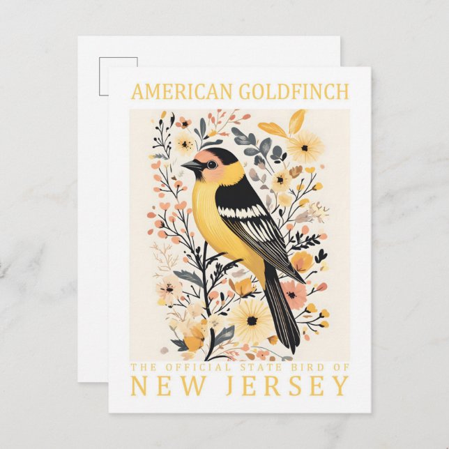 American Goldfinch Bird of New Jersey USA Postcard (Front/Back)