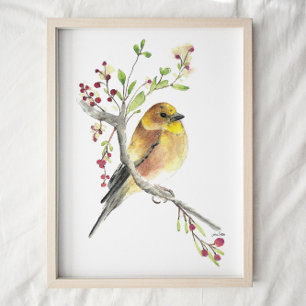American Goldfinch Bird Watercolor Art Poster