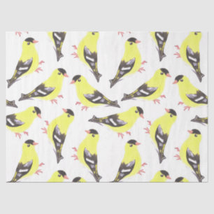 American goldfinch birds watercolor art tissue paper