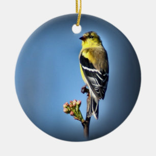 American Goldfinch Ceramic Ornament