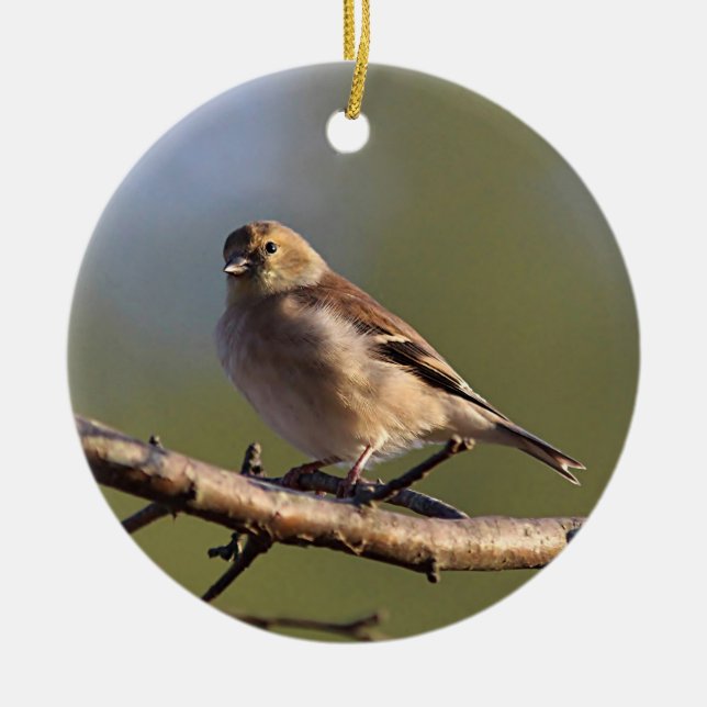 American goldfinch in winter plumage ceramic ornament (Front)