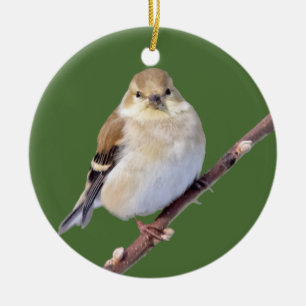 American Goldfinch Looking At You Ceramic Tree Decoration