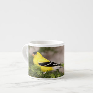 American Goldfinch male in a tree Espresso Cup
