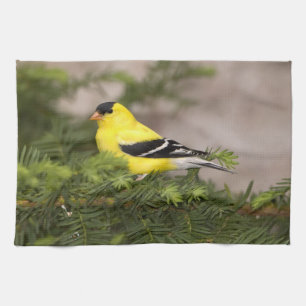 American Goldfinch male in a tree Tea Towel