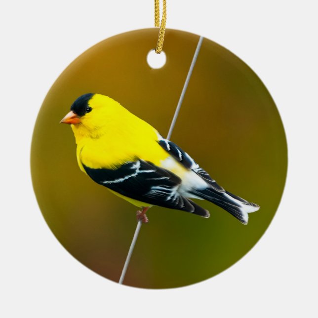 American Goldfinch - Original Photograph Ceramic Ornament (Front)