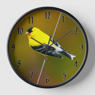 American Goldfinch - Original Photograph Clock