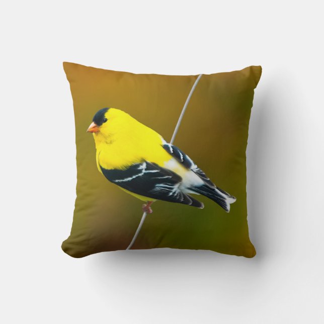 American Goldfinch - Original Photograph Cushion (Front)