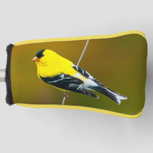 American Goldfinch - Original Photograph Golf Head Cover