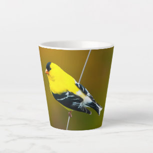 American Goldfinch - Original Photograph Latte Mug