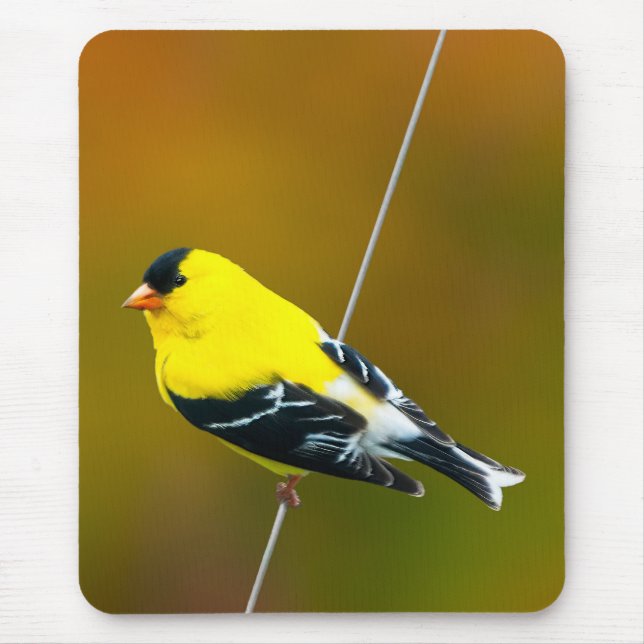 American Goldfinch - Original Photograph Mouse Pad (Front)
