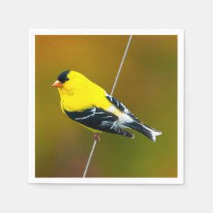 American Goldfinch - Original Photograph Napkin
