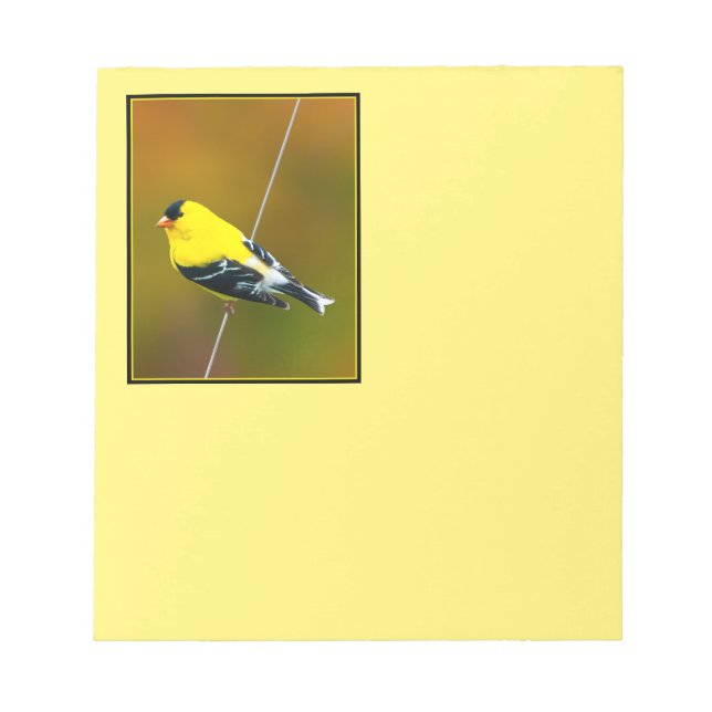 American Goldfinch - Original Photograph Notepad (Front)