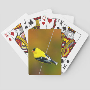 American Goldfinch - Original Photograph Playing Cards