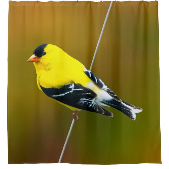 American Goldfinch - Original Photograph Shower Curtain (Front)