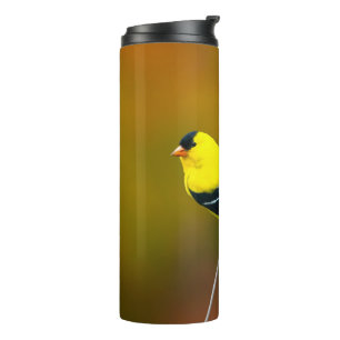 American Goldfinch - Original Photograph Thermal Tumbler