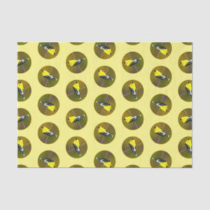 American Goldfinch Songbird Original Photograph Tissue Paper