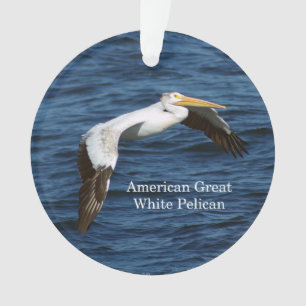 American great White Pelican acrylic ornament