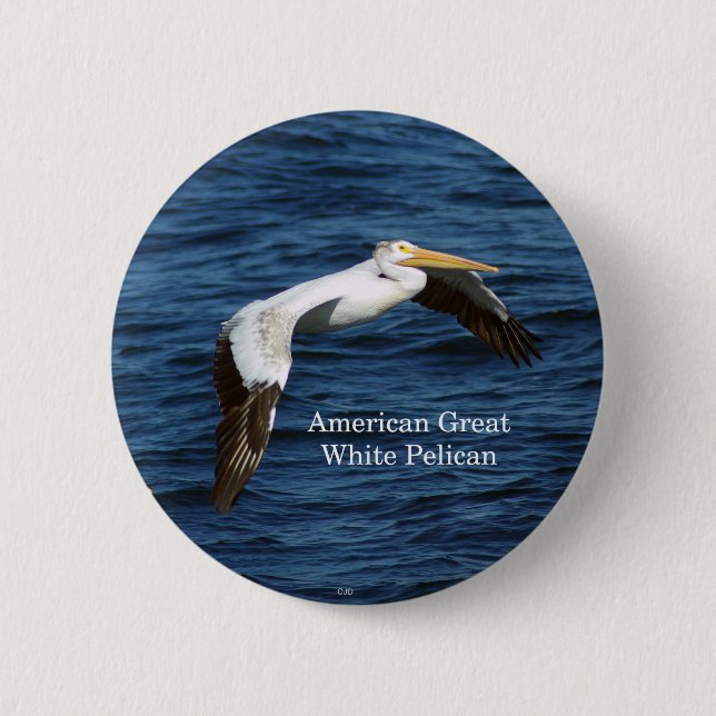 American Great White Pelican button (Front)