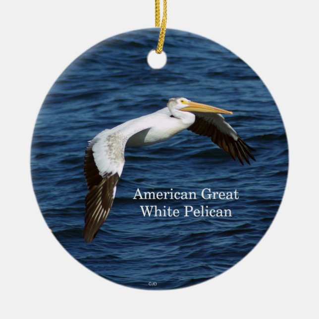 American great White Pelican ornament (Front)