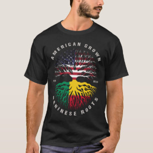 American Grown Beninese Roots Benin Flag T-Shirt