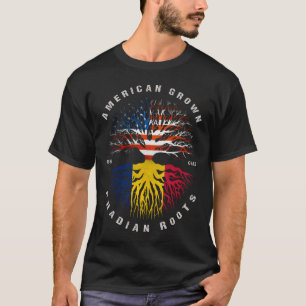 American Grown Chadian Roots Chad Flag T-Shirt