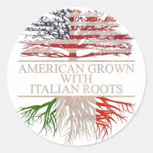 American grown with italian roots classic round sticker