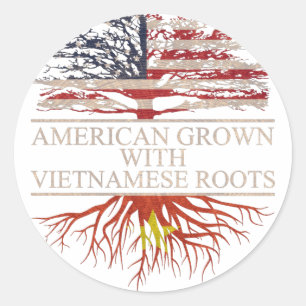 American grown with vietnamese roots classic round sticker